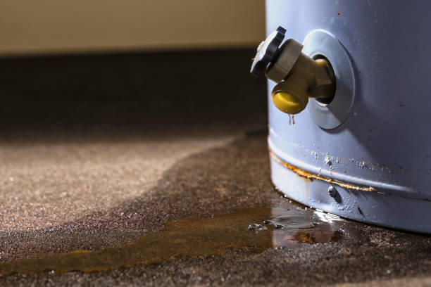 Best Flooded house restoration  in Channel Lake, IL
