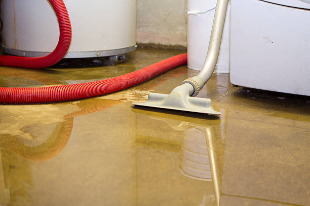 Best Local water damage restoration  in Channel Lake, IL