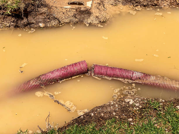 Best Water damage restoration process  in Channel Lake, IL