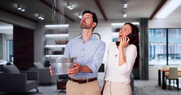 Best 24/7 water damage repair  in Channel Lake, IL