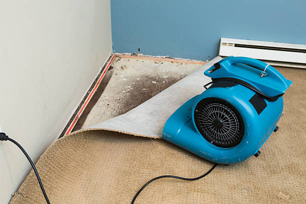Best Basement water damage restoration  in Channel Lake, IL